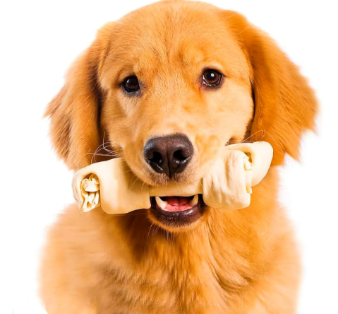 HUESO DE CUERO  3/4 NATURAL BLISTER X2