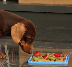 MANTA COMELENTO HUELLA