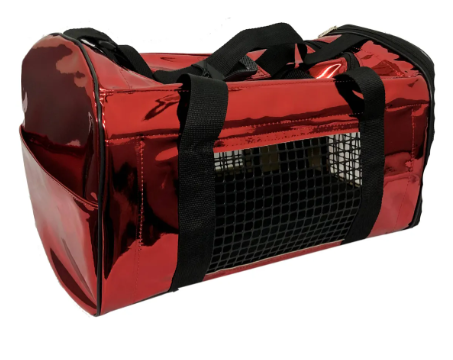 BOLSO METALIZADO Nº2