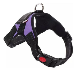 [9390] ARNES ACOLCHADO PET DOG S (60-75 cm.)